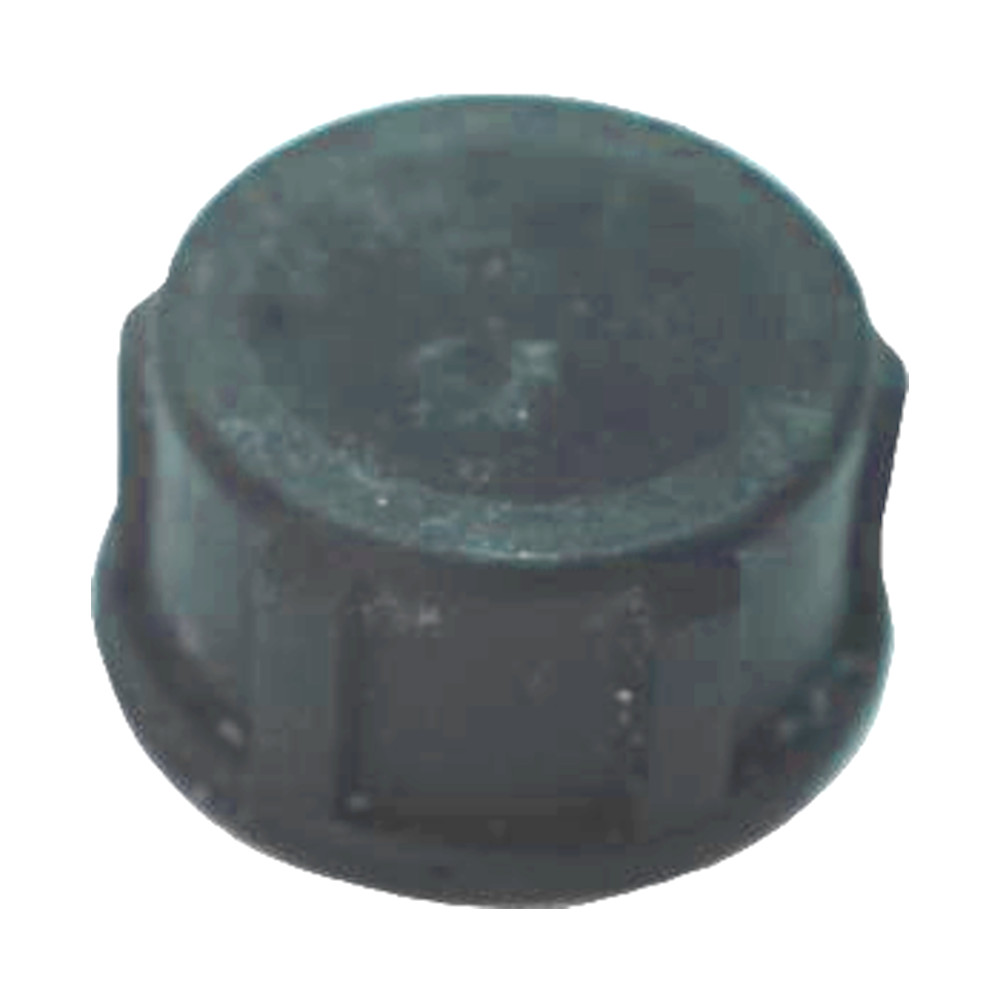 PP cap 3/4 inch