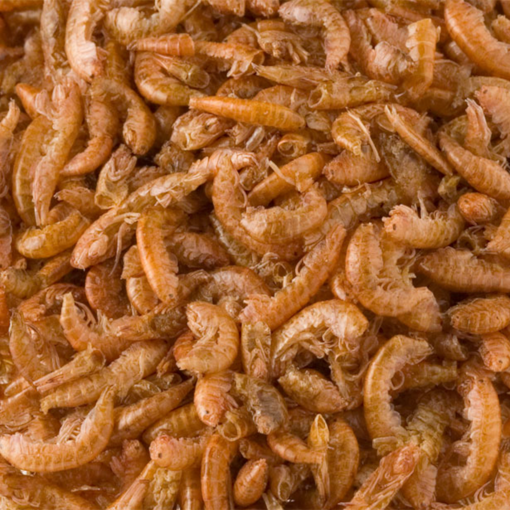 Izumi Premium Gammarus 600 g